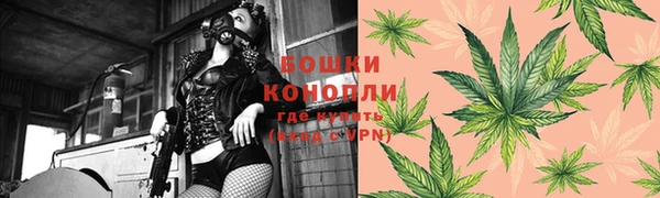 PSILOCYBIN Балабаново