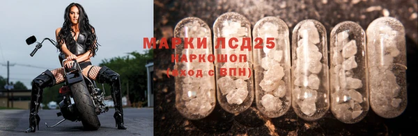 PSILOCYBIN Балабаново