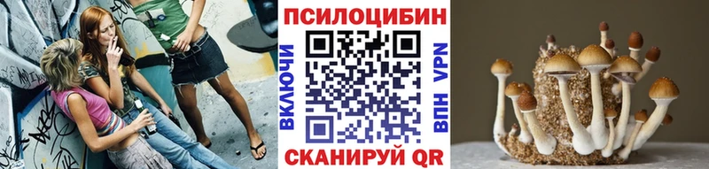 Псилоцибиновые грибы MAGIC MUSHROOMS  сколько стоит  Пересвет 